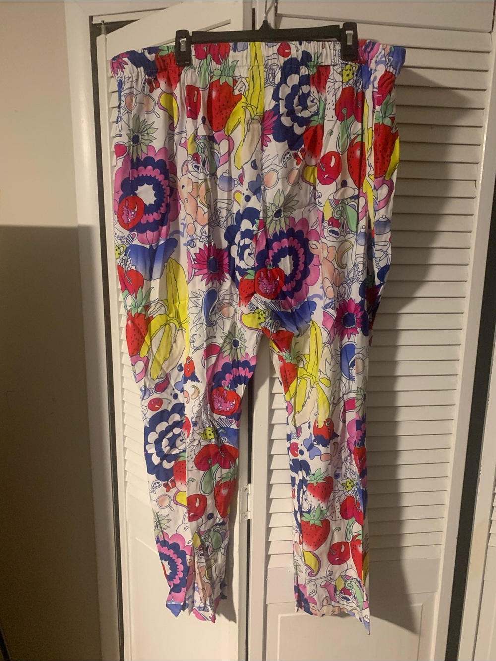 Wray NWOT Plus Size Women’s Printed Pants